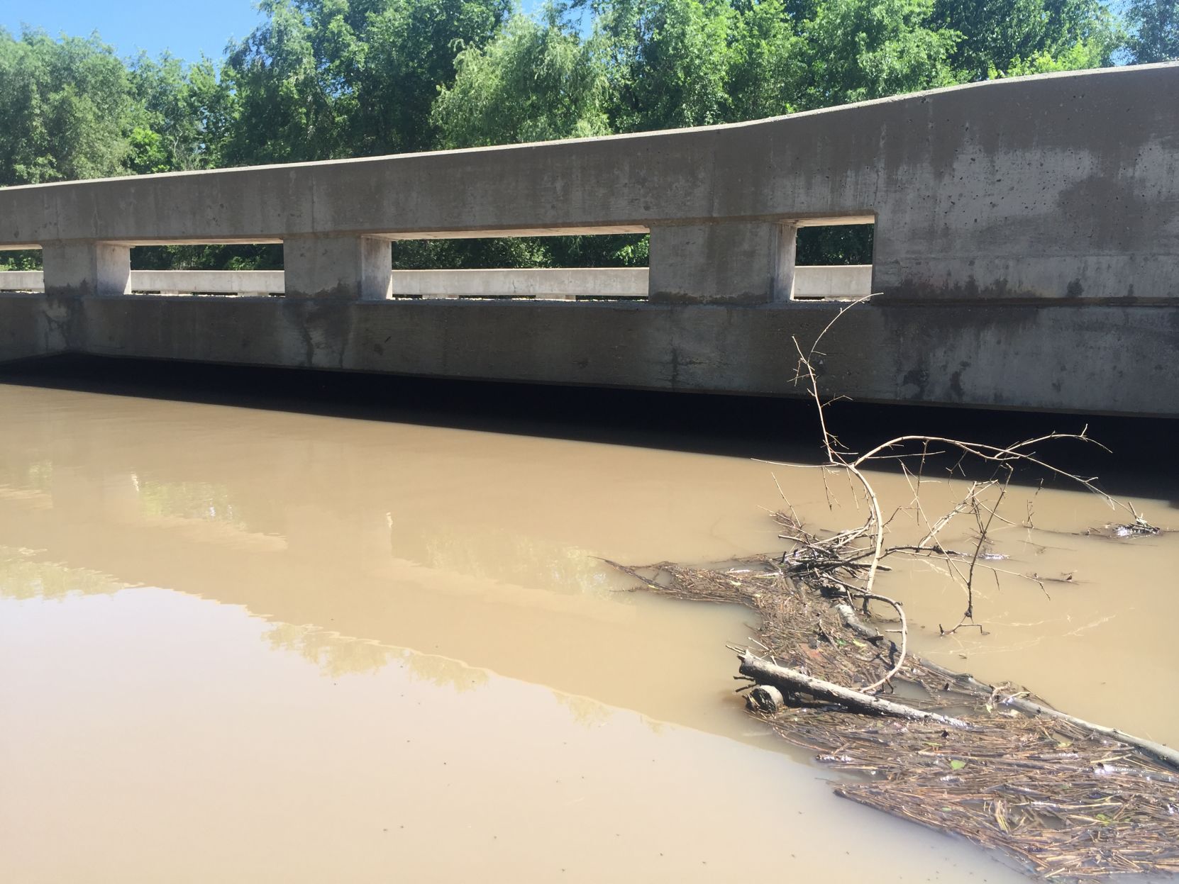 Flooding in Shelton